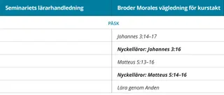 bild 6 av broder Morales lässchema