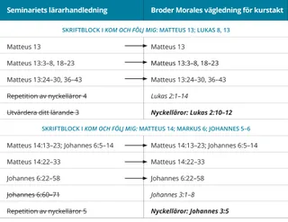 bild 5 av broder Morales lässchema