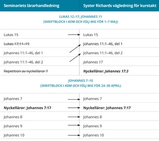 bild 3 av syster Richards lässchema