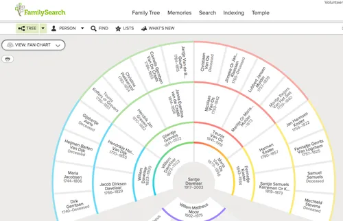 screen capture of fan chart
