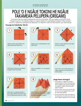 illustrated oribami instructions