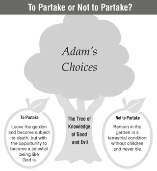 Adam’s choices