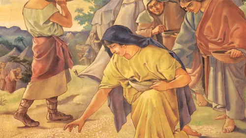 Israelites gathering manna