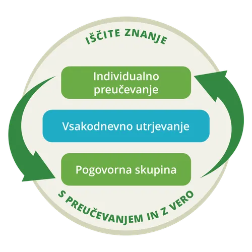 grafični prikaz cikličnega postopka individualnega preučevanja in pogovorne skupine