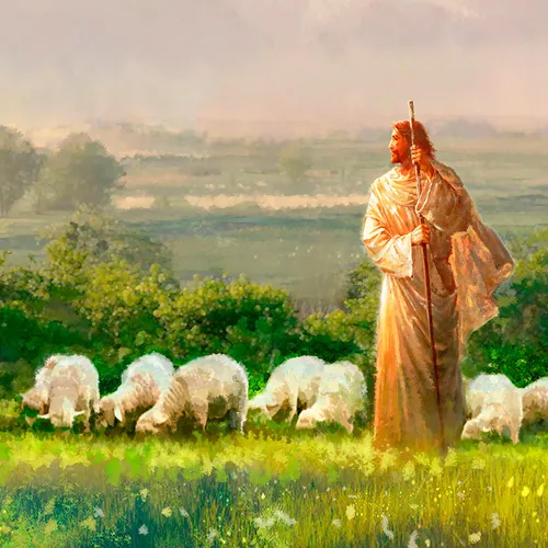 Jesus Christ with sheep