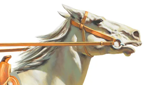 a horse with a bit and bridle