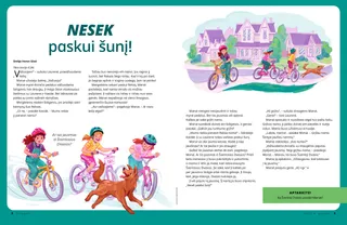 Pasakojimas PDF formatu