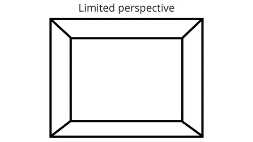 illustration of a frame labeled “Limited perspective”