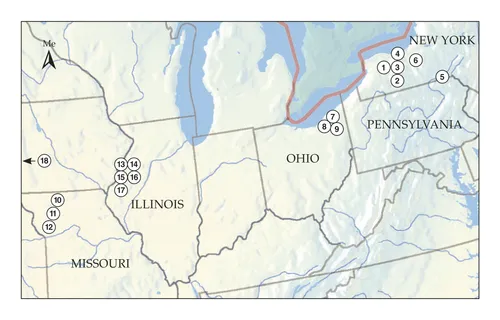 Mabe ni kabwarabwara