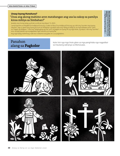 Makalingaw nga Seksiyon