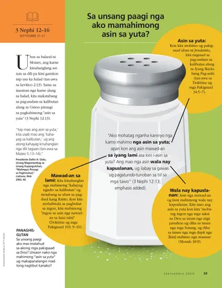 How can I be the salt of the earth