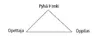 Triangle Diagram