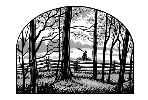 drawing of Sacred Grove