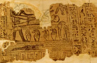 papyrus fragments