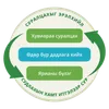 Судалж мөн тэрчлэн итгэлээр суралцах нь бие даан суралцах, харилцан ярианы групп, өдөр тутмын дасгалыг багтаадгийг харуулсан схем