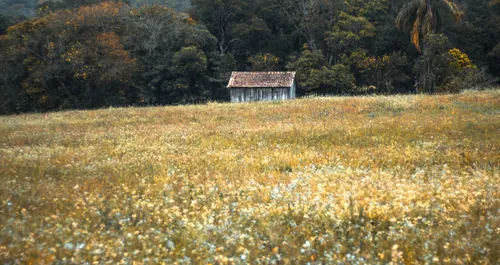 Abandoned Farm House.