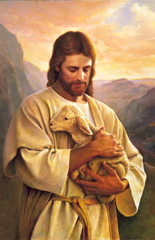 Finding the lost lamb