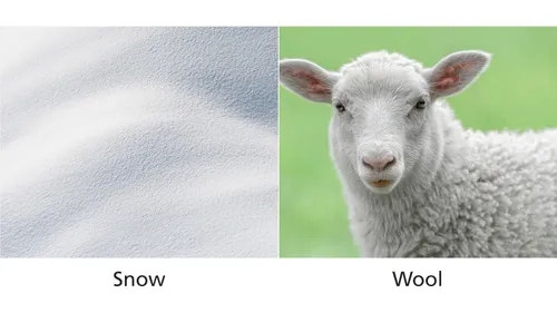 snow and wool comparison