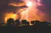 lightning over trees