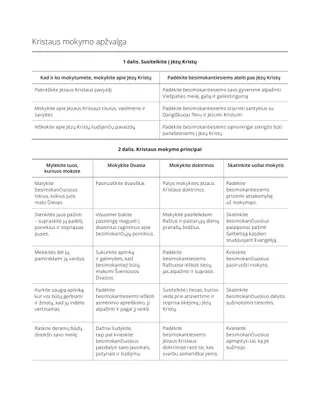 Pamokos plano pavyzdys