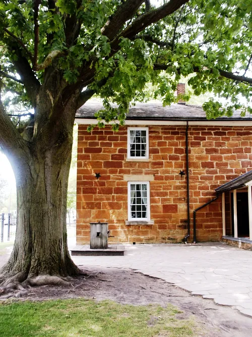 A side view of the red-brick Carthage Jail, with a large tree to the left.