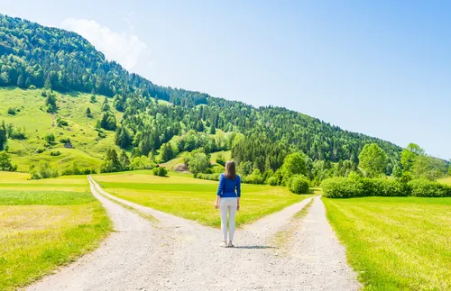 young adult looking at two paths