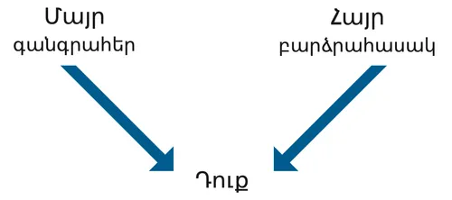 գծապատկեր, ծնողներ, հատկանիշներ, դուք