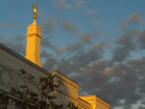 A view from the ground looking up to the spire on the Columbus Ohio Temple, with the leaves of a tree in view near the bottom of the screen.