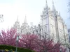 Salt Lake City Temple