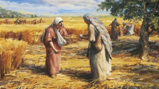 Ruth (Old Testament figure) gleaning wheat in the fields of Boaz.  Naomi, the mother-in-law of Ruth and kinswoman of Boaz, is bringing a cup of water or refreshment to Ruth as she works.  There are other men and women working in the fields.  These people are depicted in the background.  The painting depicts Ruth gleaning in the fields in hopes of gaining the favor of Boaz.  Boaz is not depicted in the painting.