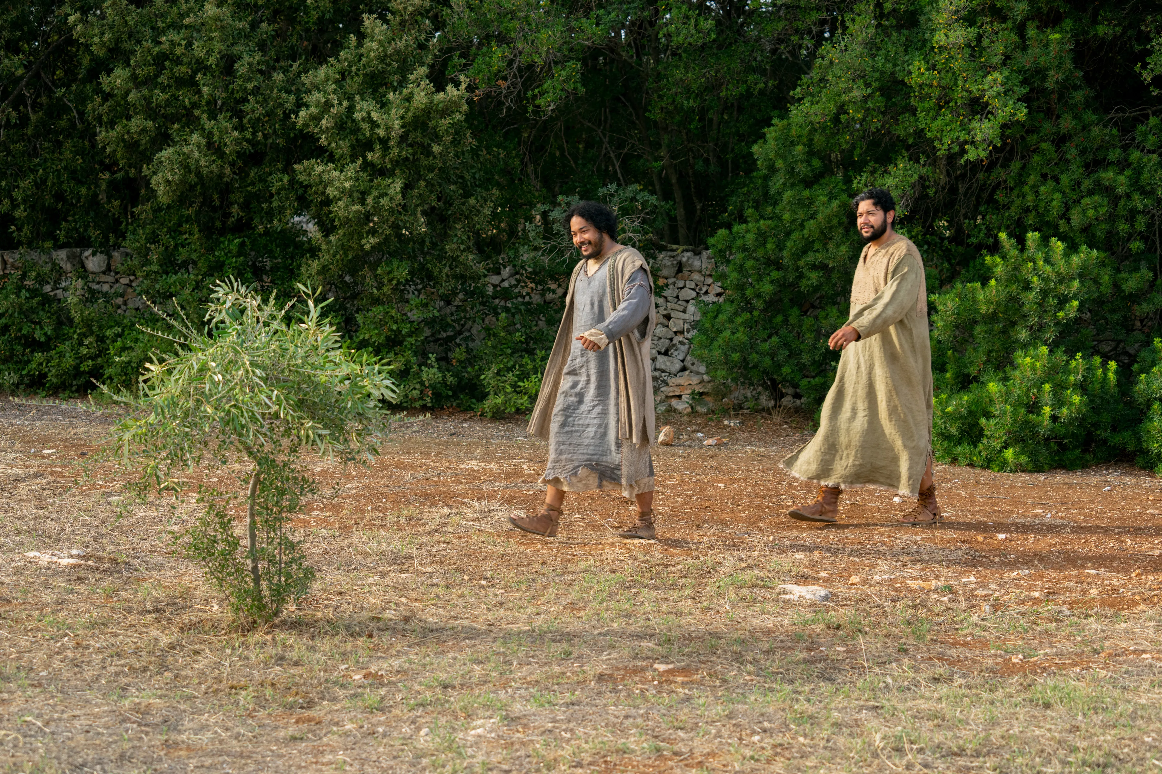 The Lord of the Vineyard and his servant go to the nether part of the vineyard to see that the planted branches have grown fruit. This is part of the olive tree allegory mentioned in Jacob 5.