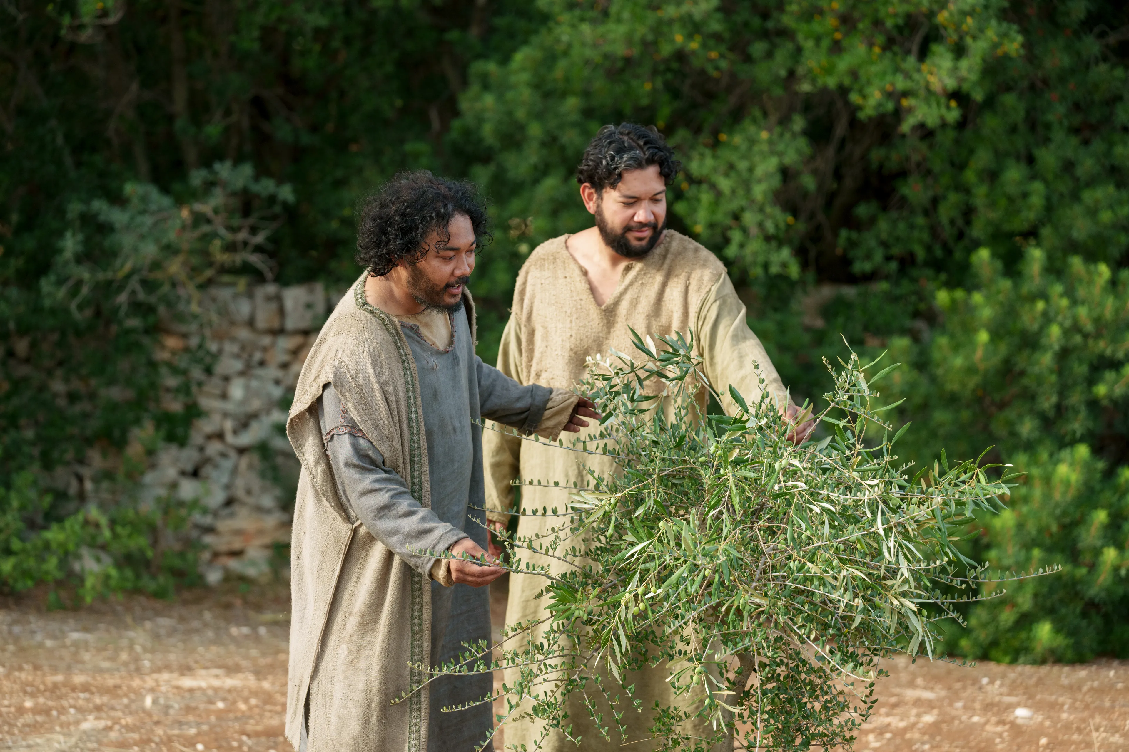 The Lord of the Vineyard and his servant go to the nether part of the vineyard to see that the planted branches have grown fruit. This is part of the olive tree allegory mentioned in Jacob 5.