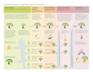 diagram sa pasumbingay sa kahoy nga oliba