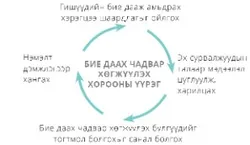 бие даах чадвар хөгжүүлэх хорооны үүрэг
