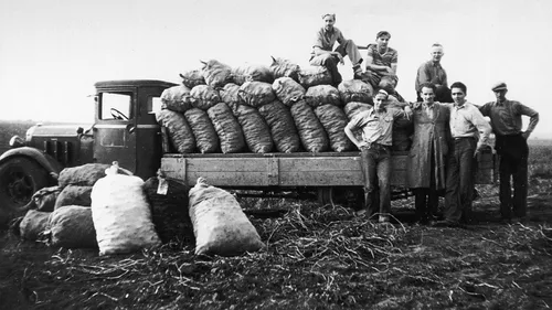 Dutch Saints around a truck loaded with sacks of potatoes