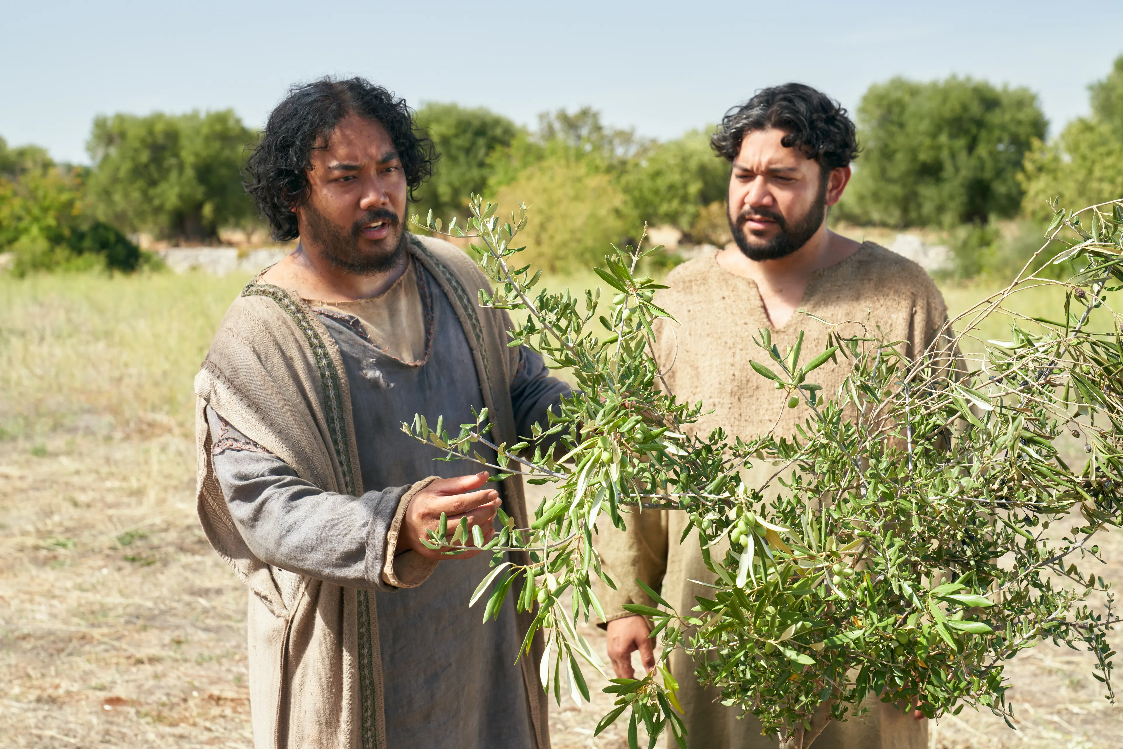 The Lord of the Vineyard and his servant go to a good spot of the vineyard to see that the planted branches are bearing only partly good fruit. This is part of the olive tree allegory mentioned in Jacob 5.