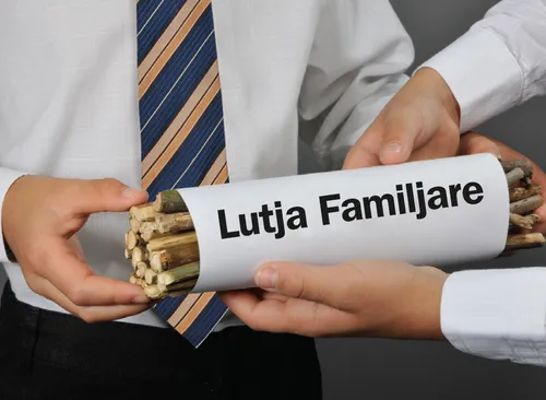 fëmijë duke mbajtur një grumbull shkopinjsh