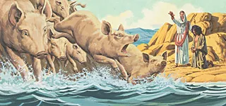 The pigs ran into the sea