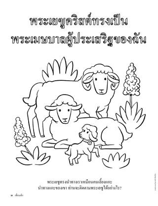 หน้าระบายสีแกะ