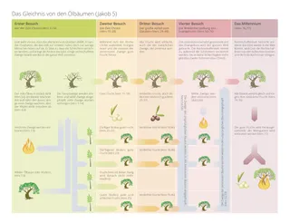 Das Gleichnis von den Ölbäumen, Übersicht