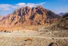Mount Sinai
