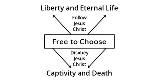 Сонгох эрх чөлөөтэй бүдүүвч зураг