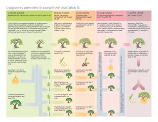 xjalam-uuch li jaljookil ru aatin chirix lix toonal li che’ olivo