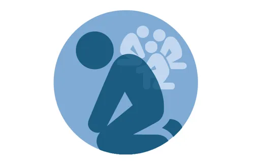 Kom dan en volg Mij infographic