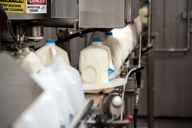 Milk cartons on a conveyor belt at Welfare Square.