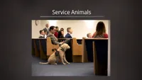 pd60007853-2022-01-0038-service-animals-ase.jpg