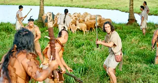 Аммон сүргийг хамгаалсан нь