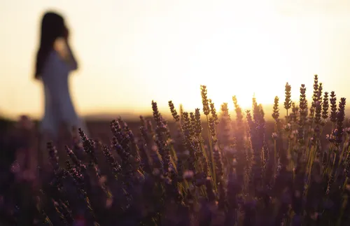 woman standing in field of flowers