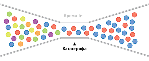 иллюстрация эффекта бутылочного горлышка