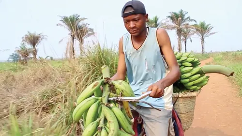 席德里克的旅程（靜態影像）